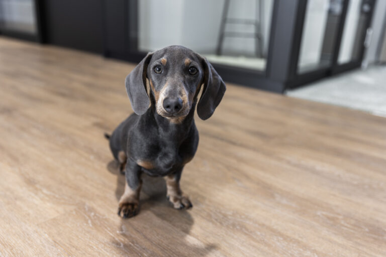 MG 3042 johanna lohr fotografie unternehmensfotografie pohlmann company